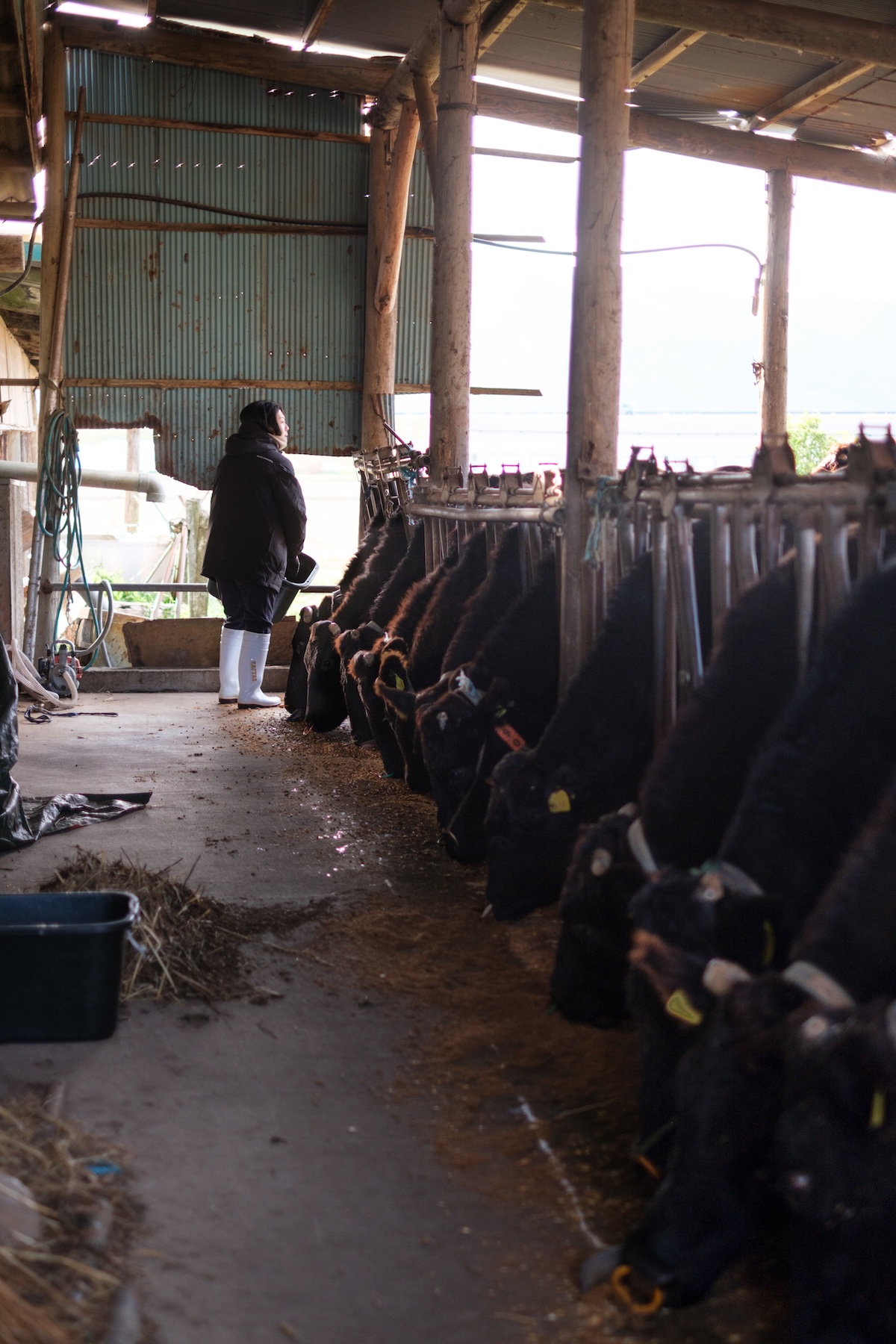 佐々木美咲さん