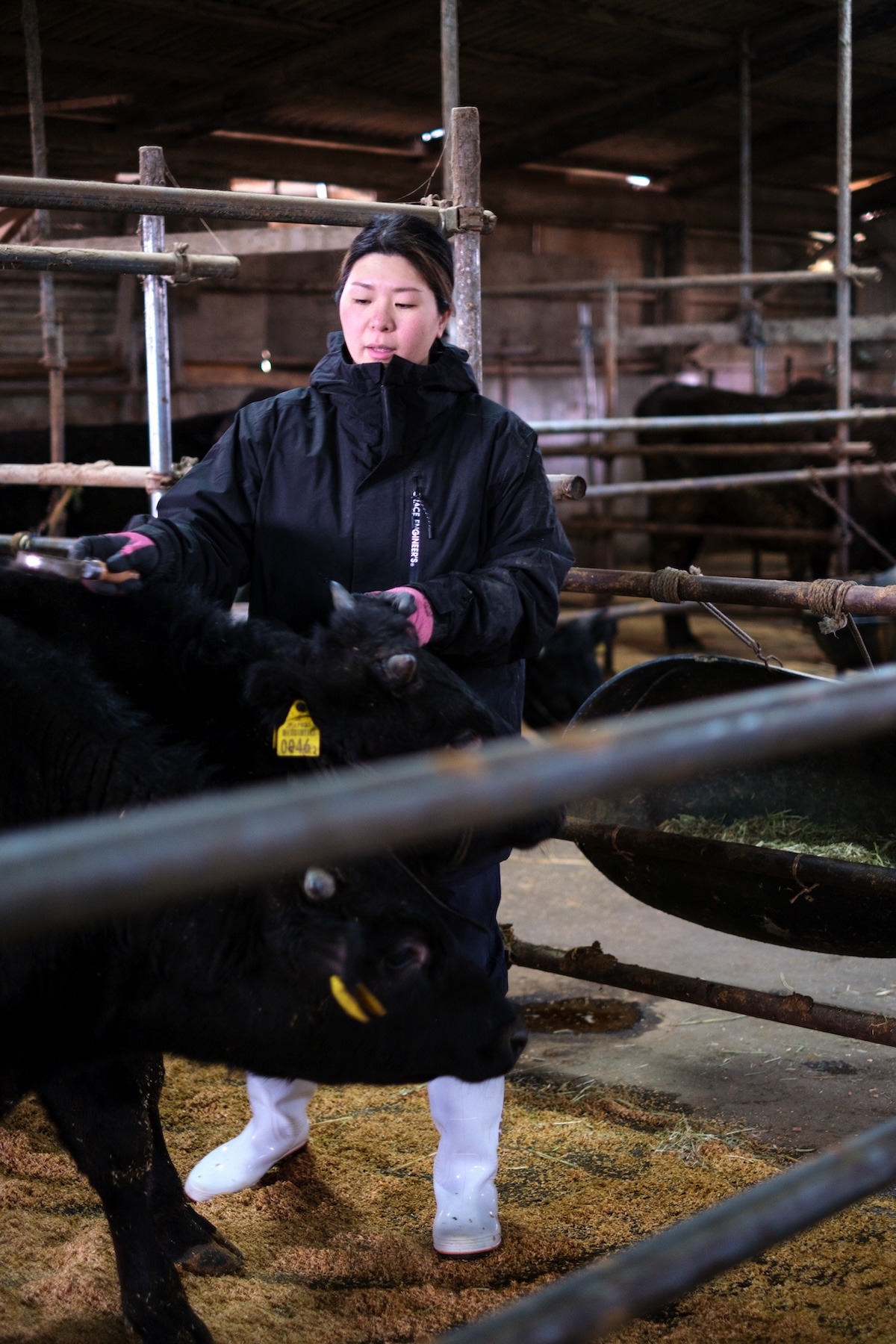 佐々木美咲さん