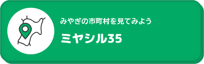 ミヤシル35