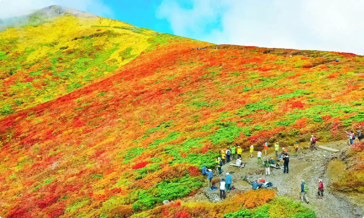山