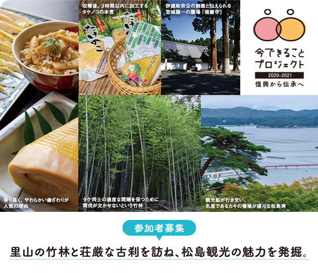 里山の竹林と荘厳な古刹を訪ね、松島観光の魅力を発掘。