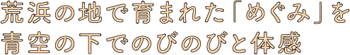 荒浜の地で育まれた恵みを青空の下でのびのびと体感