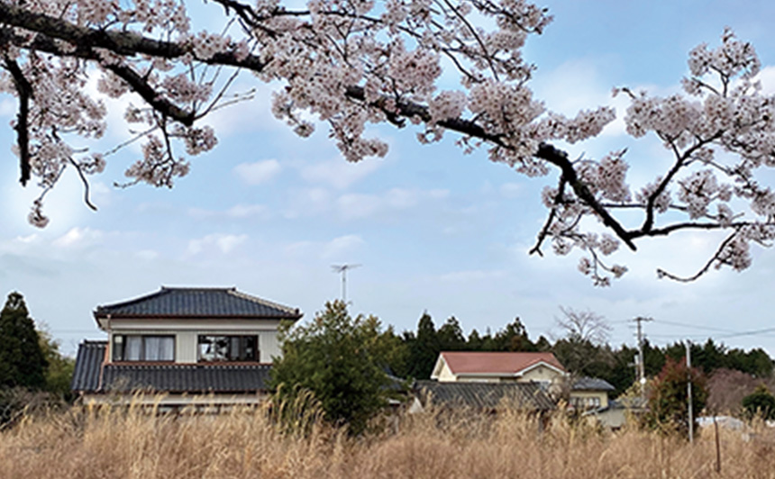 夜の森の桜と無人の家並み