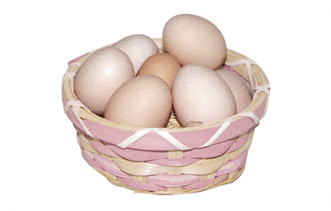 めぐみ野のご飯のお供