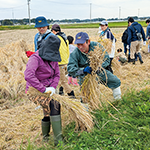 応援しよう、おいしい宮城のめぐみ