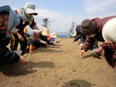 三井物産