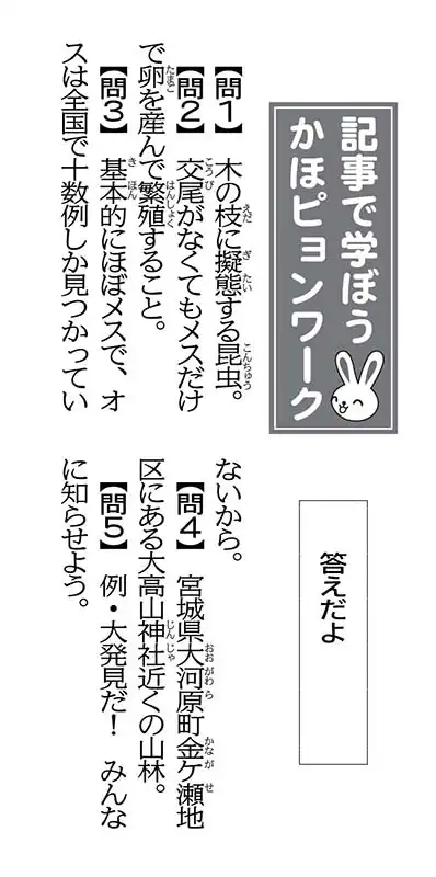 解答画像