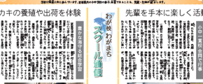 スクール通信