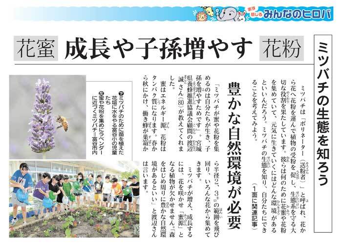 紙面