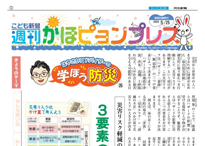 紙面