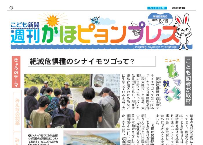 紙面