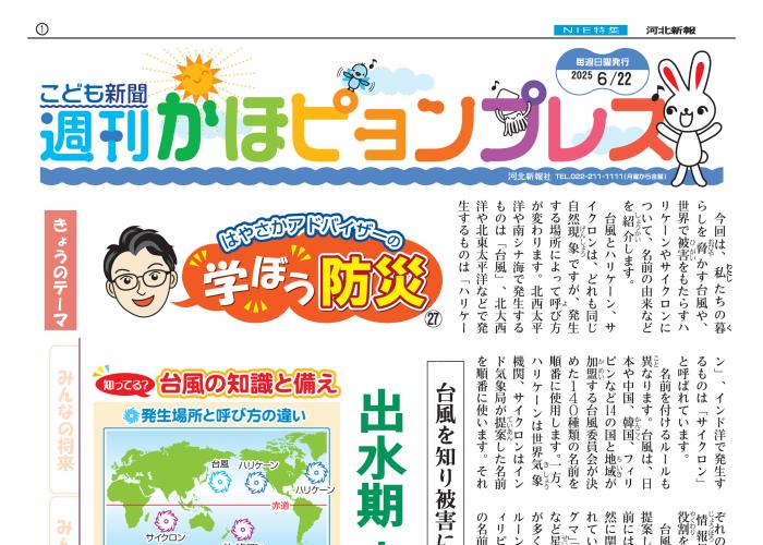 紙面