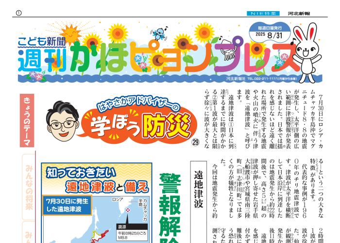 紙面