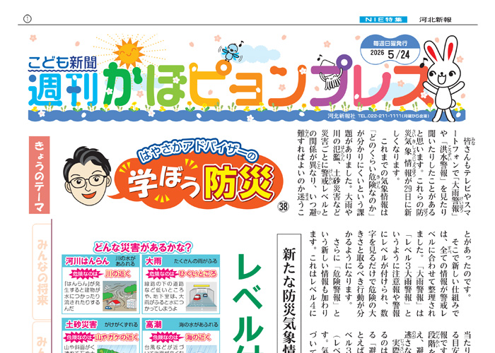 紙面