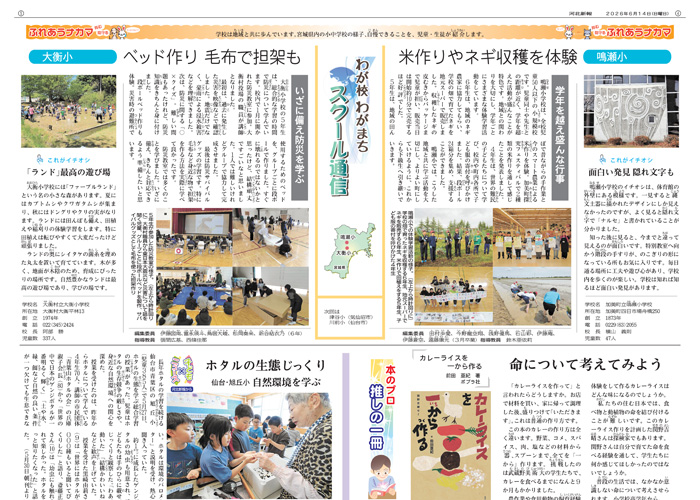 紙面