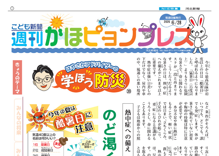紙面