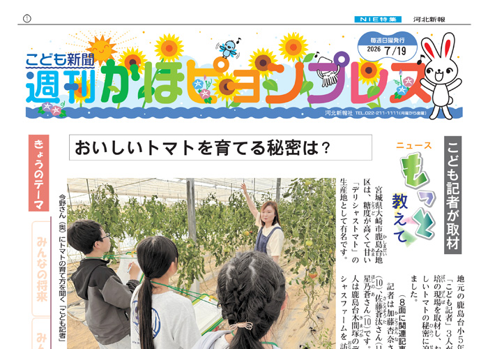 紙面