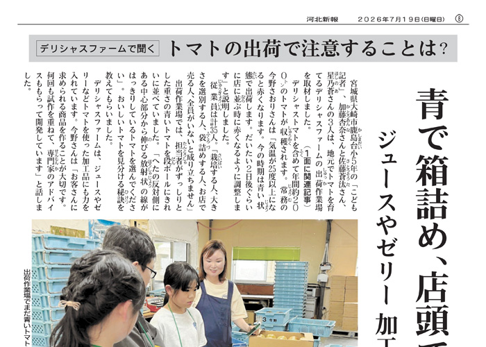 紙面