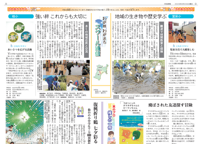 紙面